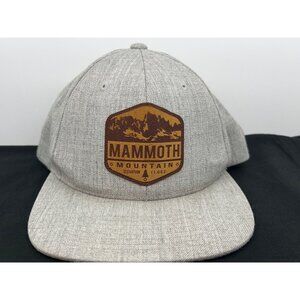 VIntage The Classics Mammoth Mountain Wool Snapback Cap Gray